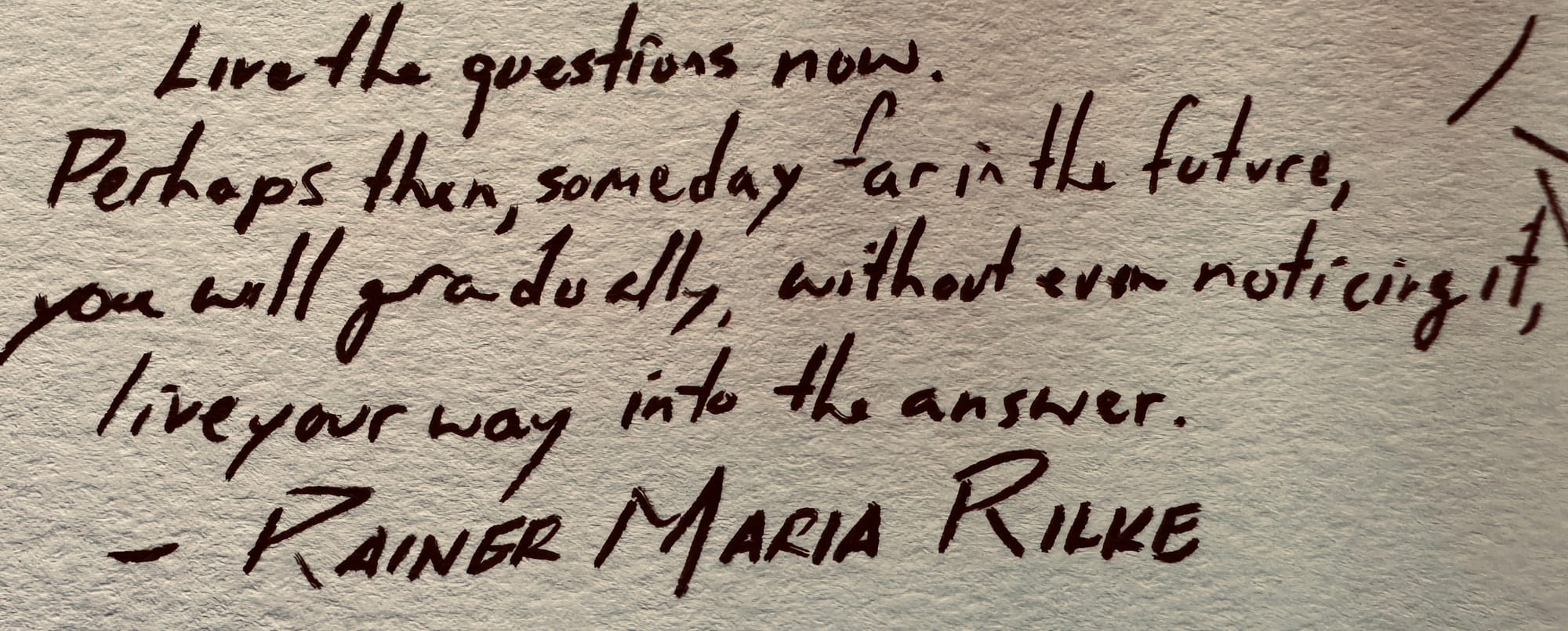 “Live the questions now. Perhaps then, someday far in the future, you will gradually, without even noticing it, live your way into the answer.”